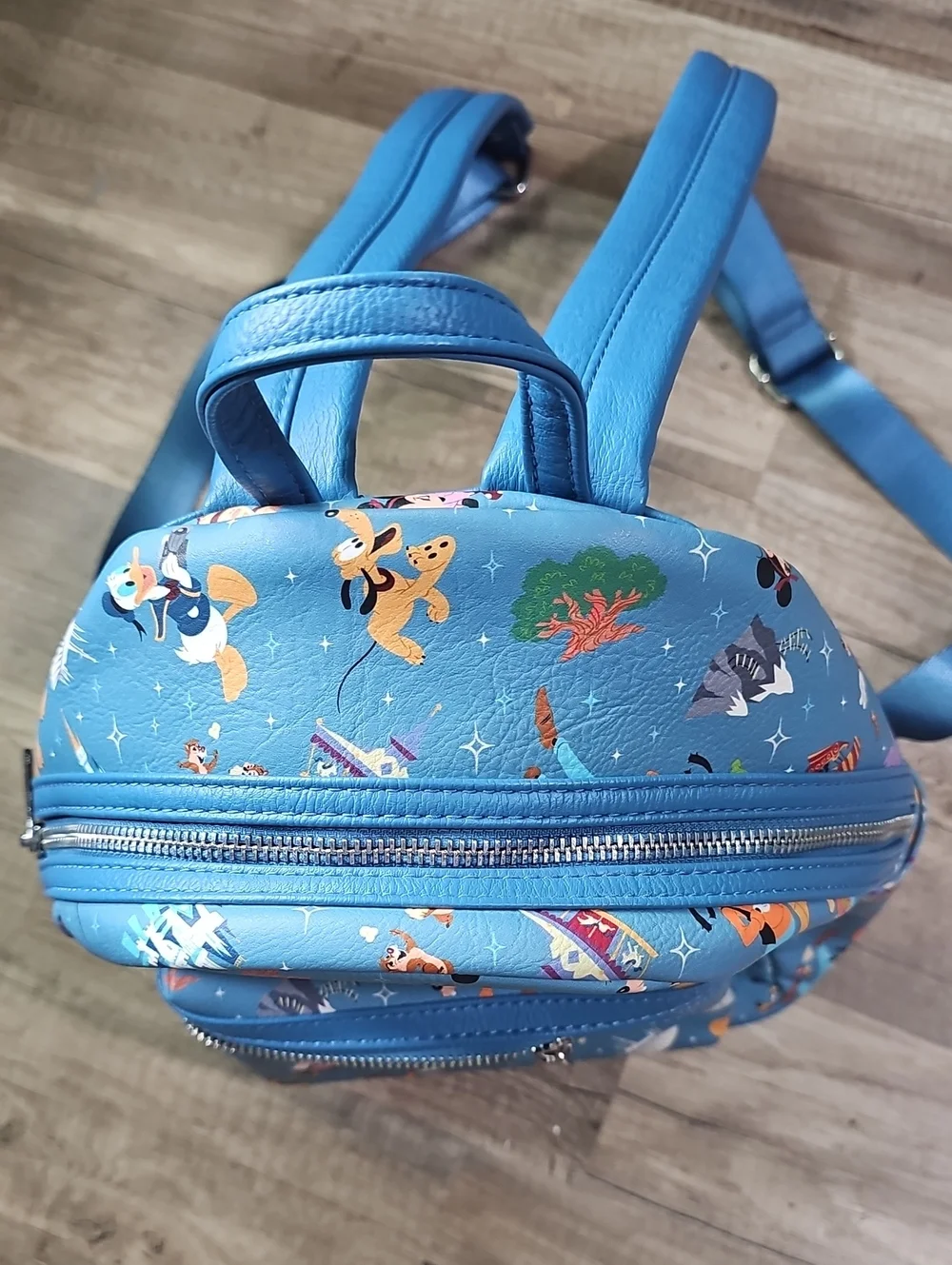 Disney parks life